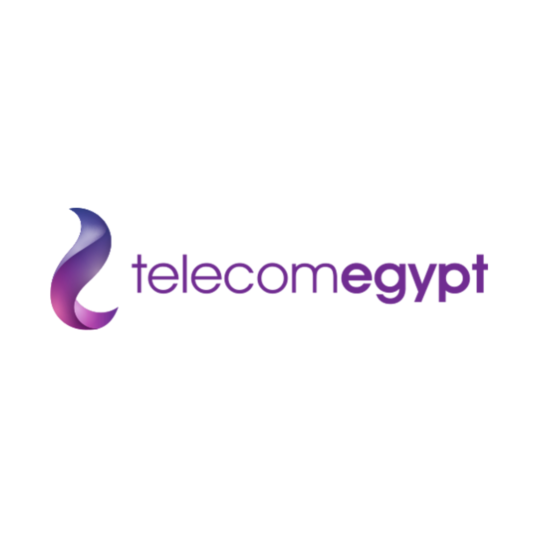 Telecom Egypt logo